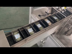 WZTS-120 ऊर्ध्वाधर खाद्य कार्टनिंग मशीन